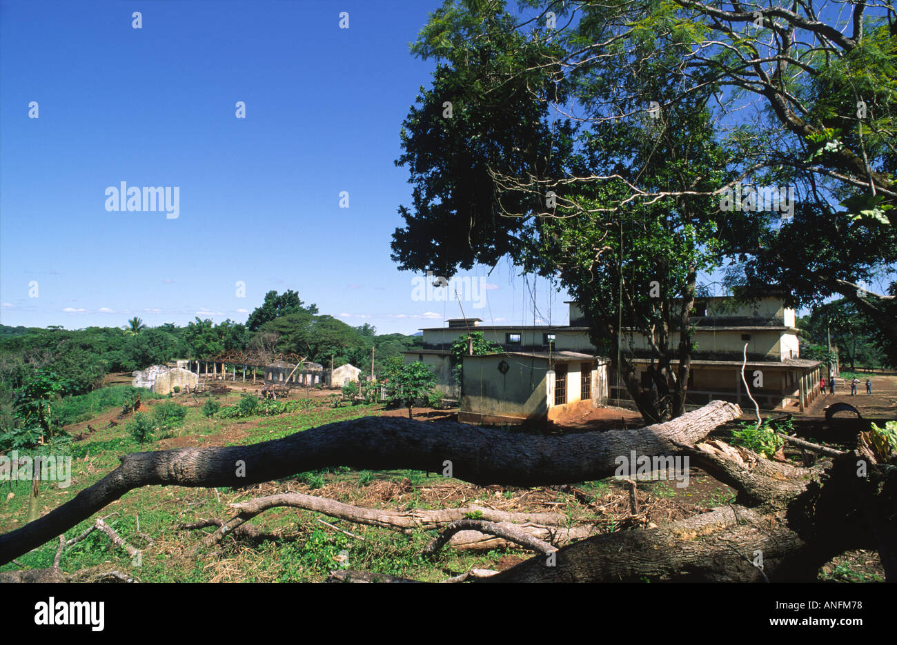 Una fabbrica di lavorazione del tè, distrutta durante la guerra civile, provincia di Nampula, Mozambico Foto Stock