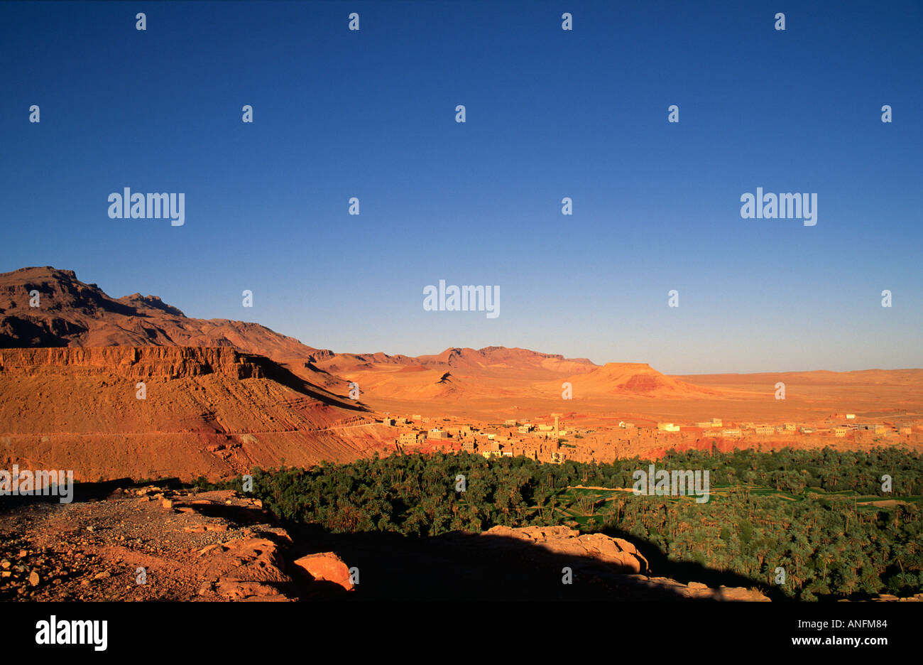 Ampia vista di un palmery e Tinerhir città sul fiume Todra. Sud del Marocco Foto Stock