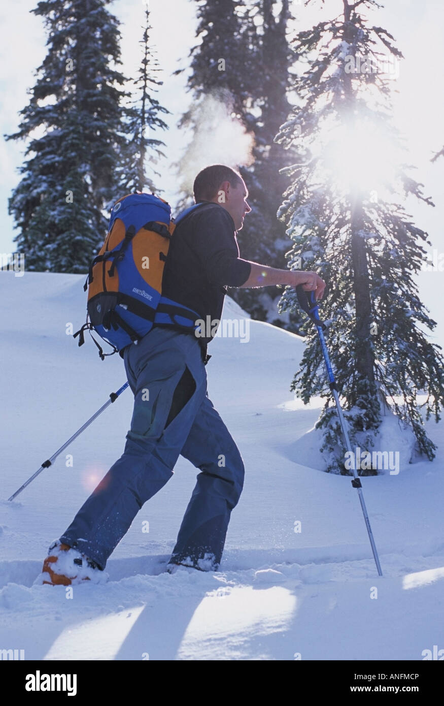 Sciatore la voce di Regina Bianca montagna dietro Whitewater Ski Resort, Nelson, British Columbia, Canada. Foto Stock