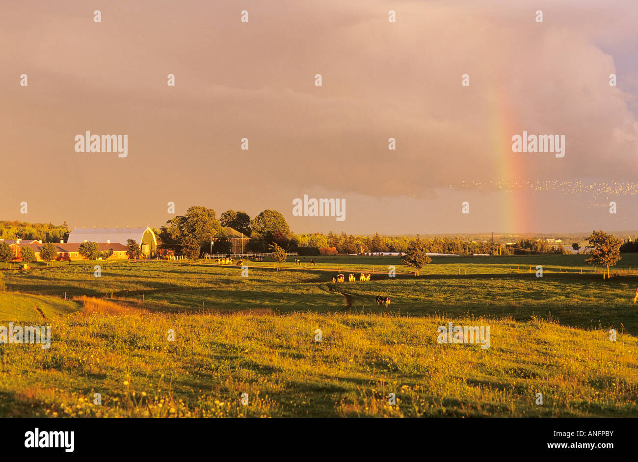 Azienda agricola e Rainbow, Marshfield, Prince Edward Island, Canada. Foto Stock
