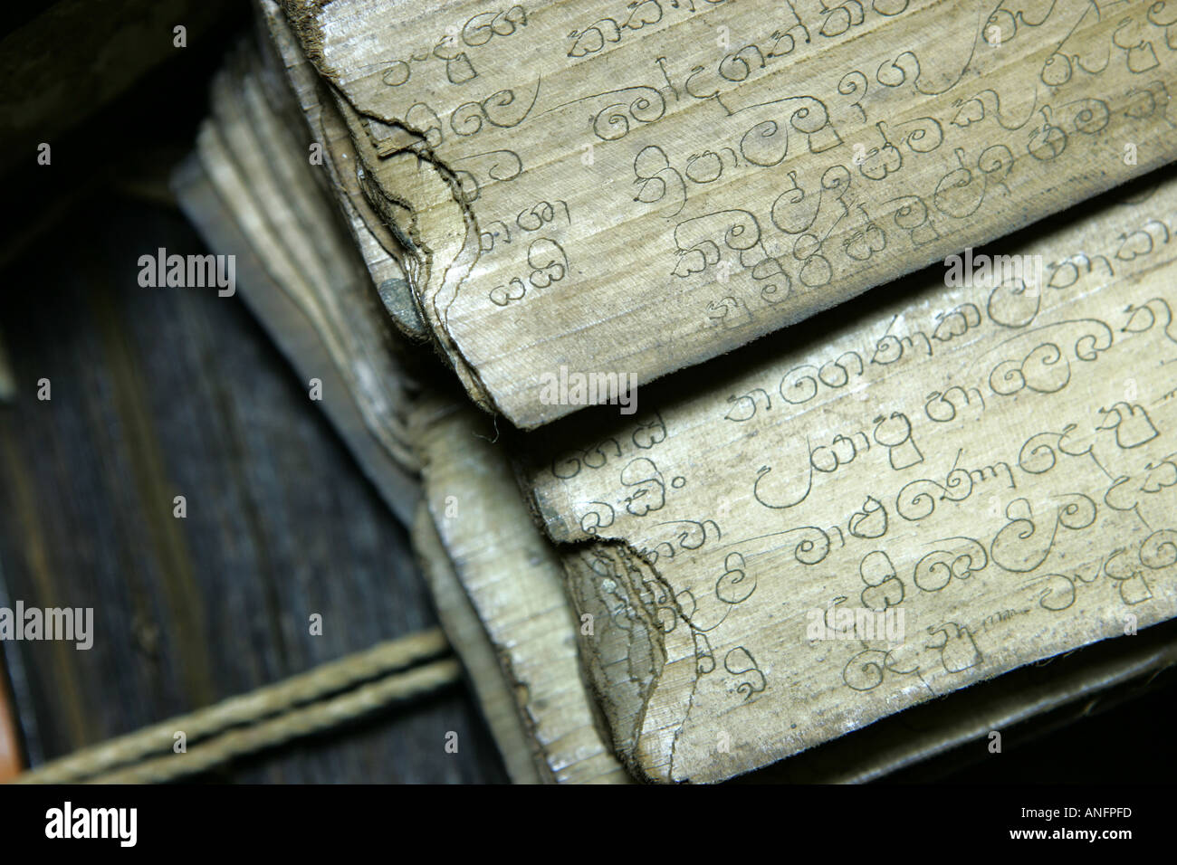 LKA, Sri Lanka : Vecchio scrips sul palmleave, pergamena, carta pergamena, con traditionel ricette ayurvedica Foto Stock
