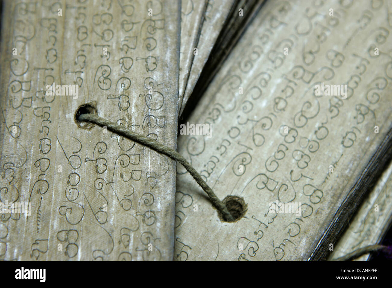 LKA, Sri Lanka : Vecchio scrips sul palmleave, pergamena, carta pergamena, con traditionel ricette ayurvedica Foto Stock