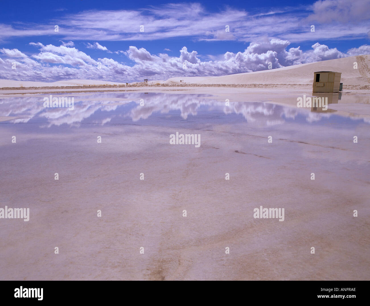 Allagato il parco auto nel deserto, White Sands National Monument, Nuovo Messico, STATI UNITI D'AMERICA Foto Stock