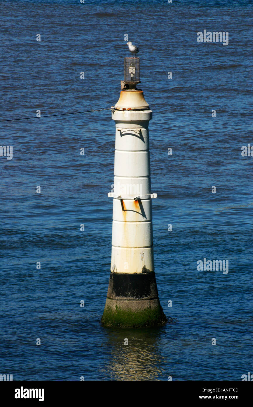 Una luce di navigazione nel Teign estuario, Shaldon, Devon. Foto Stock