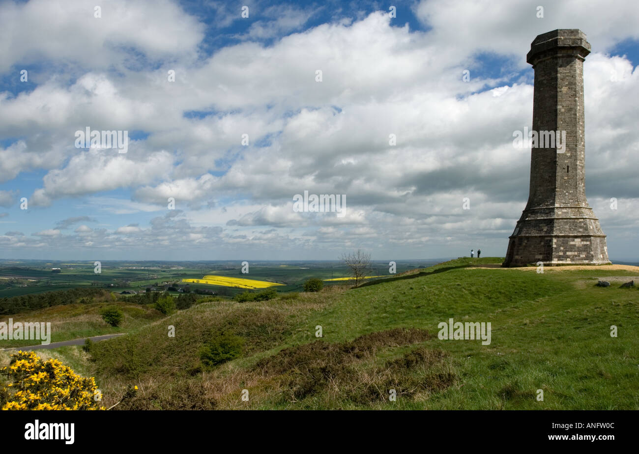 Hardy's monument black down hill nr portesham dorset England Regno Unito Foto Stock