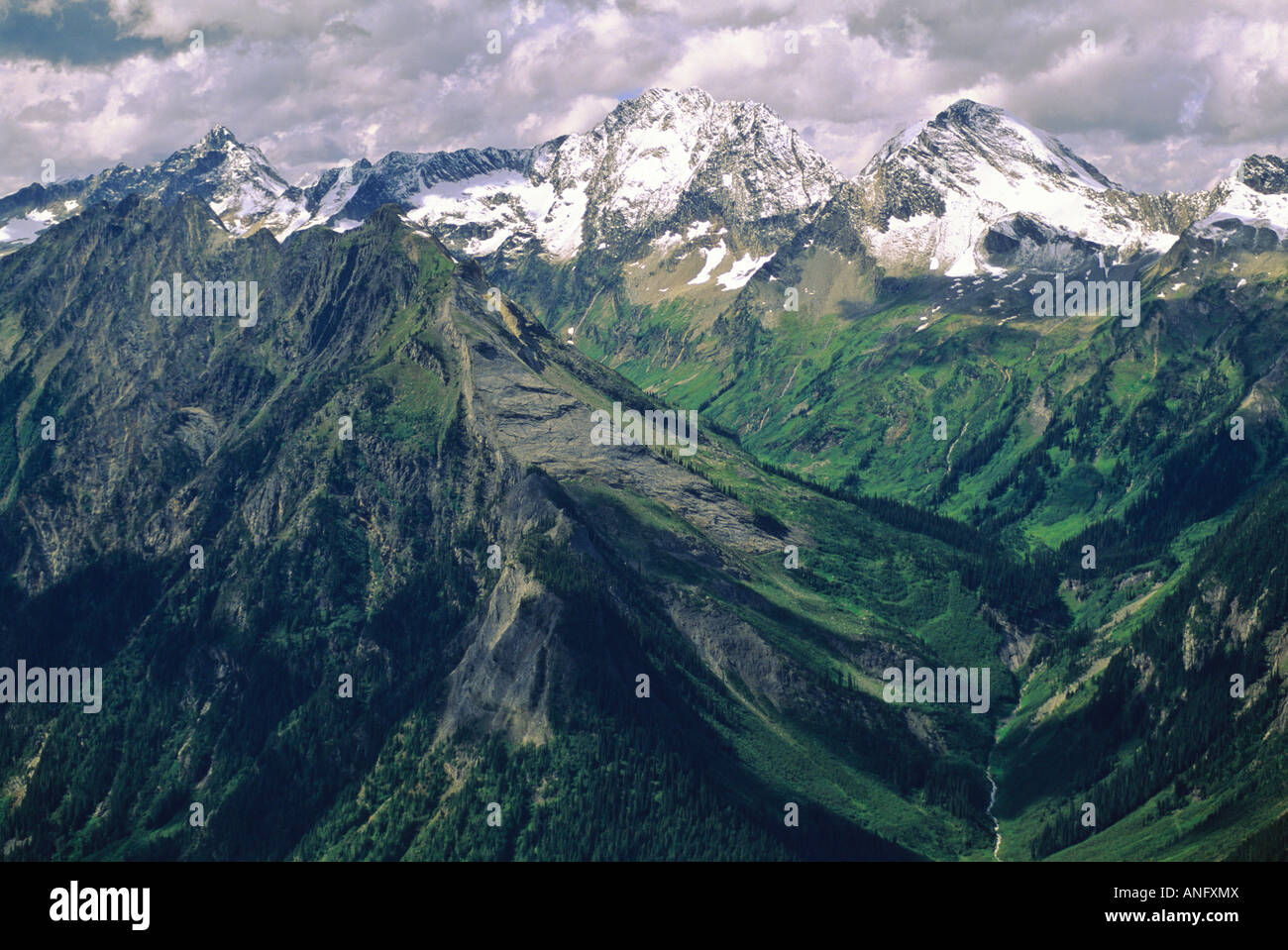 Guardando nella valle del puma e Mt McGill, il Parco Nazionale di Glacier, British Columbia, Canada. Foto Stock