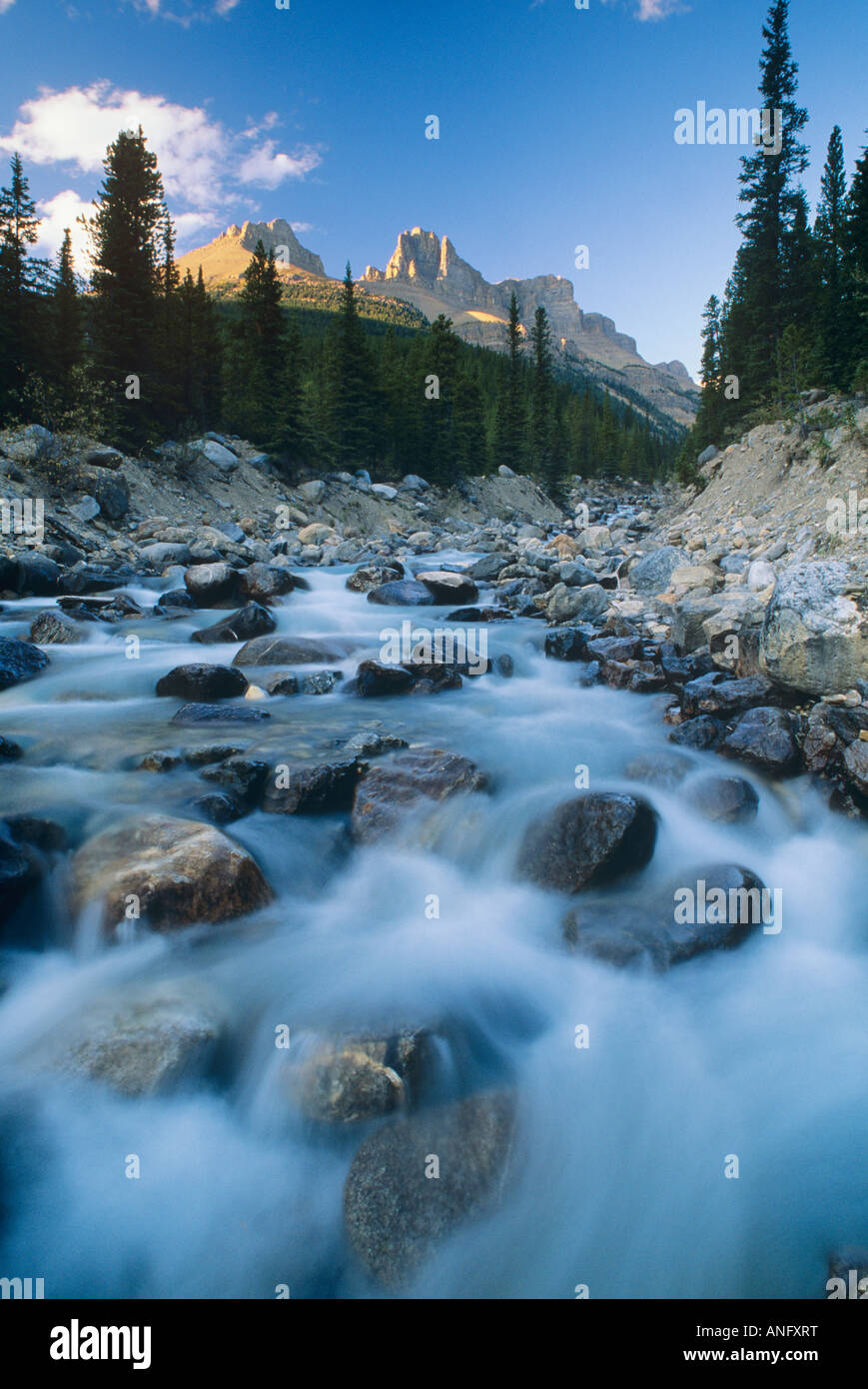 Nosi Creek, il Parco Nazionale di Banff, Alberta, Canada. Foto Stock