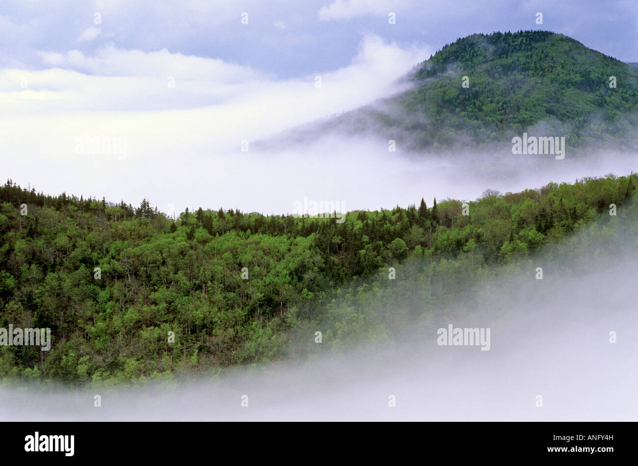 La nebbia avvolge Capo Nord di foreste di montagna, Cape Breton Highlands, Nova Scotia, Canada. Foto Stock