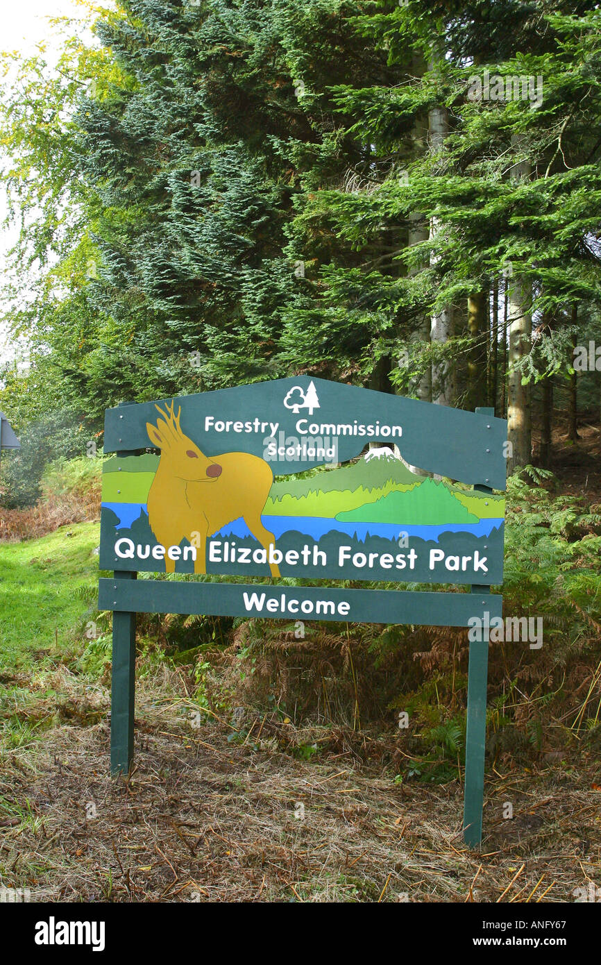 Queen Elizabeth Forest Park segno Trossachs Scozia Scotland Foto Stock