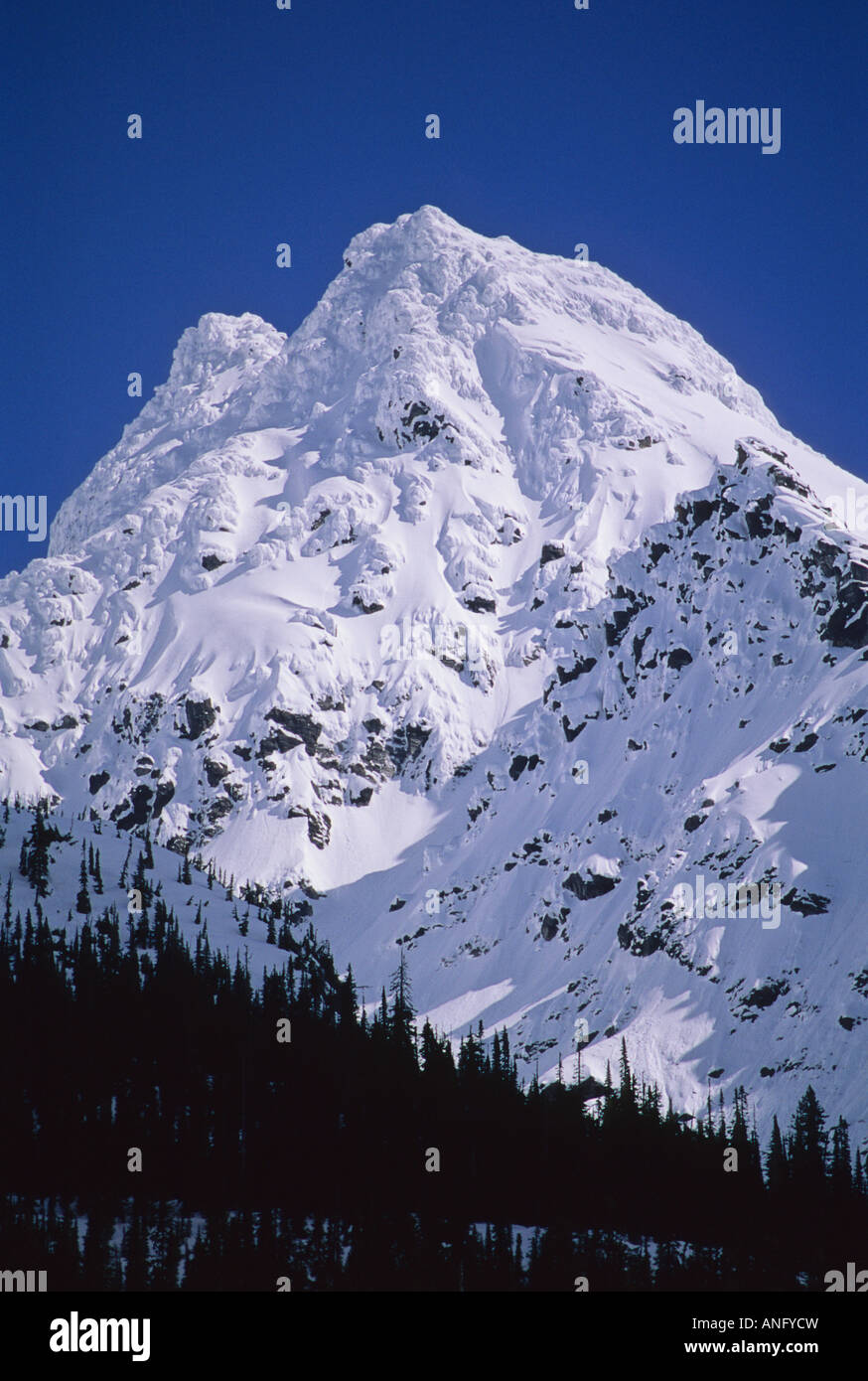 La parete nord del picco di valanghe in inverno, il Parco Nazionale di Glacier, British Columbia, Canada. Foto Stock