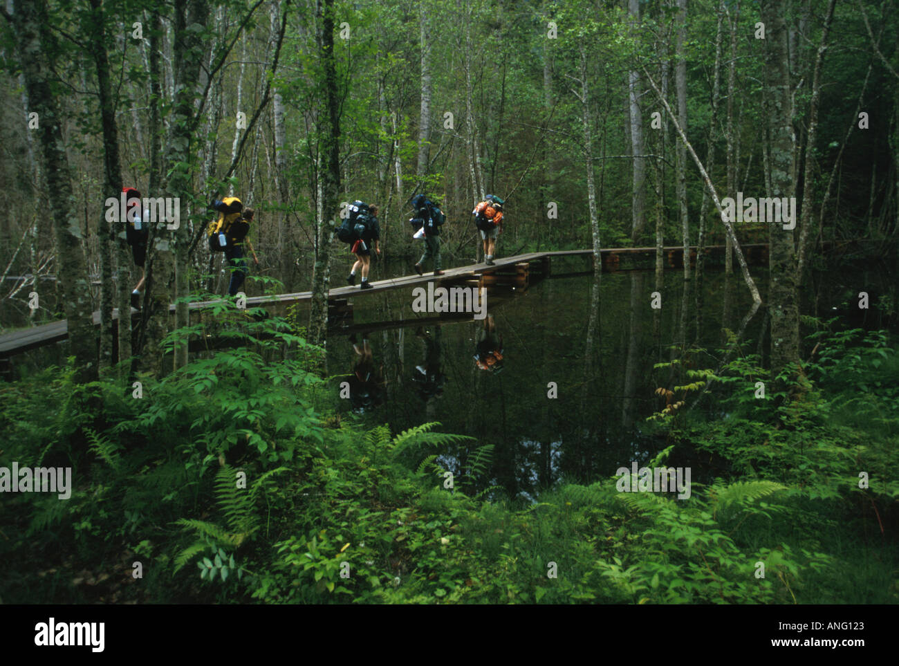 Gli escursionisti sul Chilkoot Trail Klondike Gold Rush NP Alaska Foto Stock