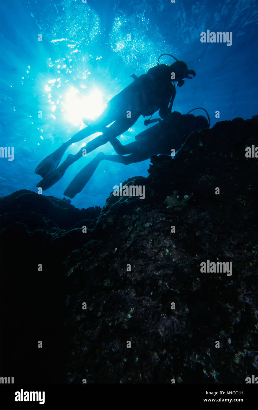 I subacquei su una scogliera di corallo Foto Stock
