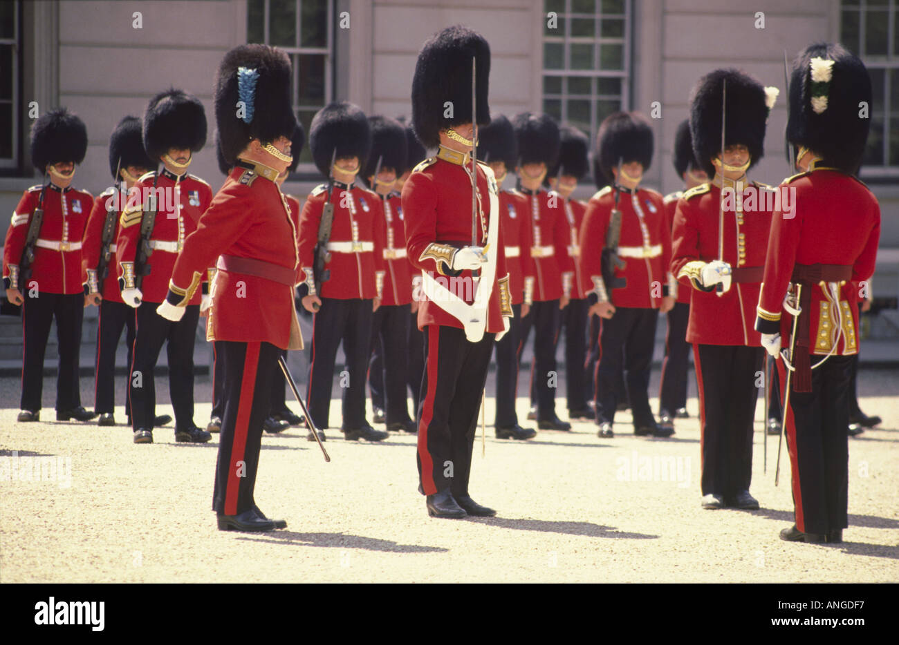 Protezioni gallese a Buckingham Palace, London, Regno Unito. Foto Stock