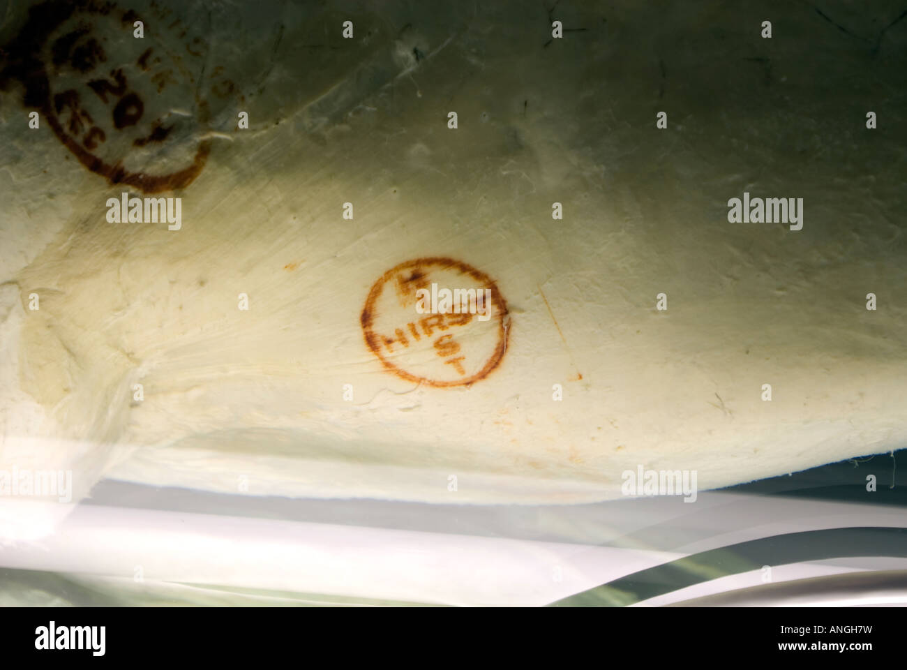 La scuola di Archeologia di perso desideri comprendere infinito e la ricerca della conoscenza dell'artista Damien Hirst Foto Stock