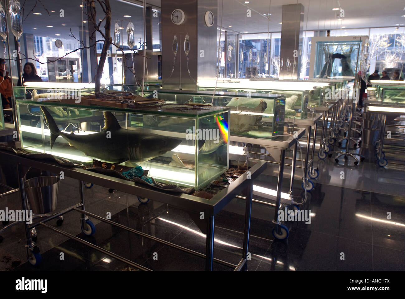 La scuola di Archeologia di perso desideri comprendere infinito e la ricerca della conoscenza dell'artista Damien Hirst Foto Stock