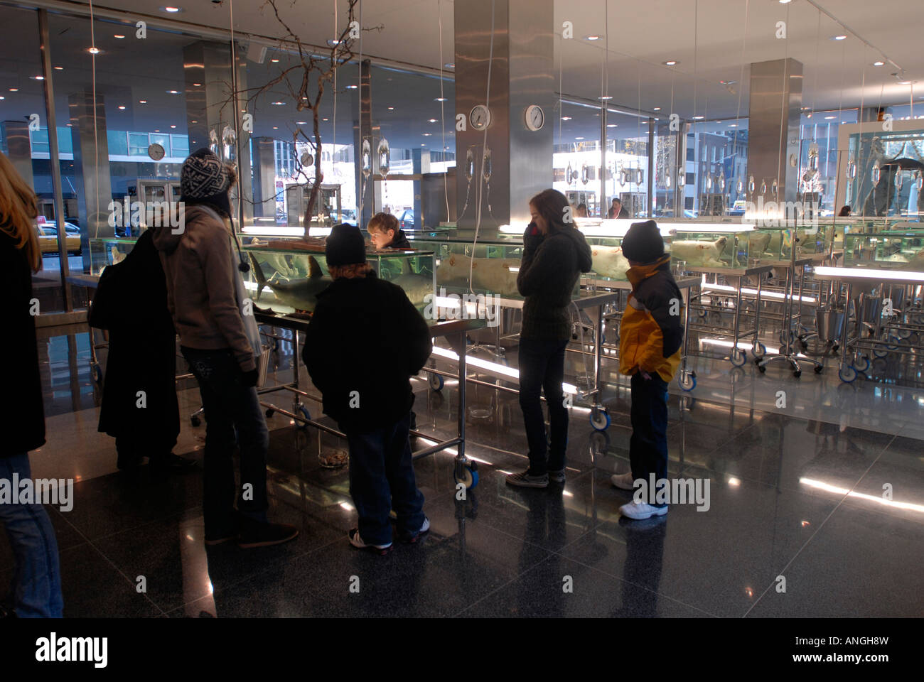 La scuola di Archeologia di perso desideri comprendere infinito e la ricerca della conoscenza dell'artista Damien Hirst Foto Stock