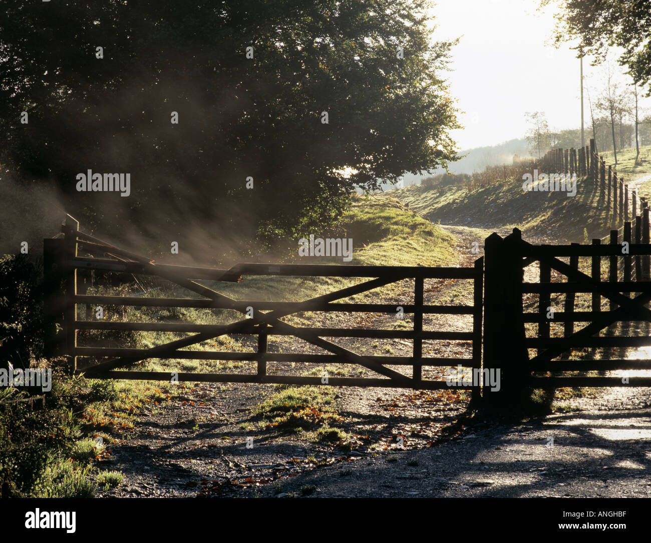 L'accesso AL CANCELLO DI CAMPAGNA A CINQUE BAR AL circuito della fattoria è stato illuminato dal sole della mattina presto in autunno. Devon Inghilterra Gran Bretagna Foto Stock