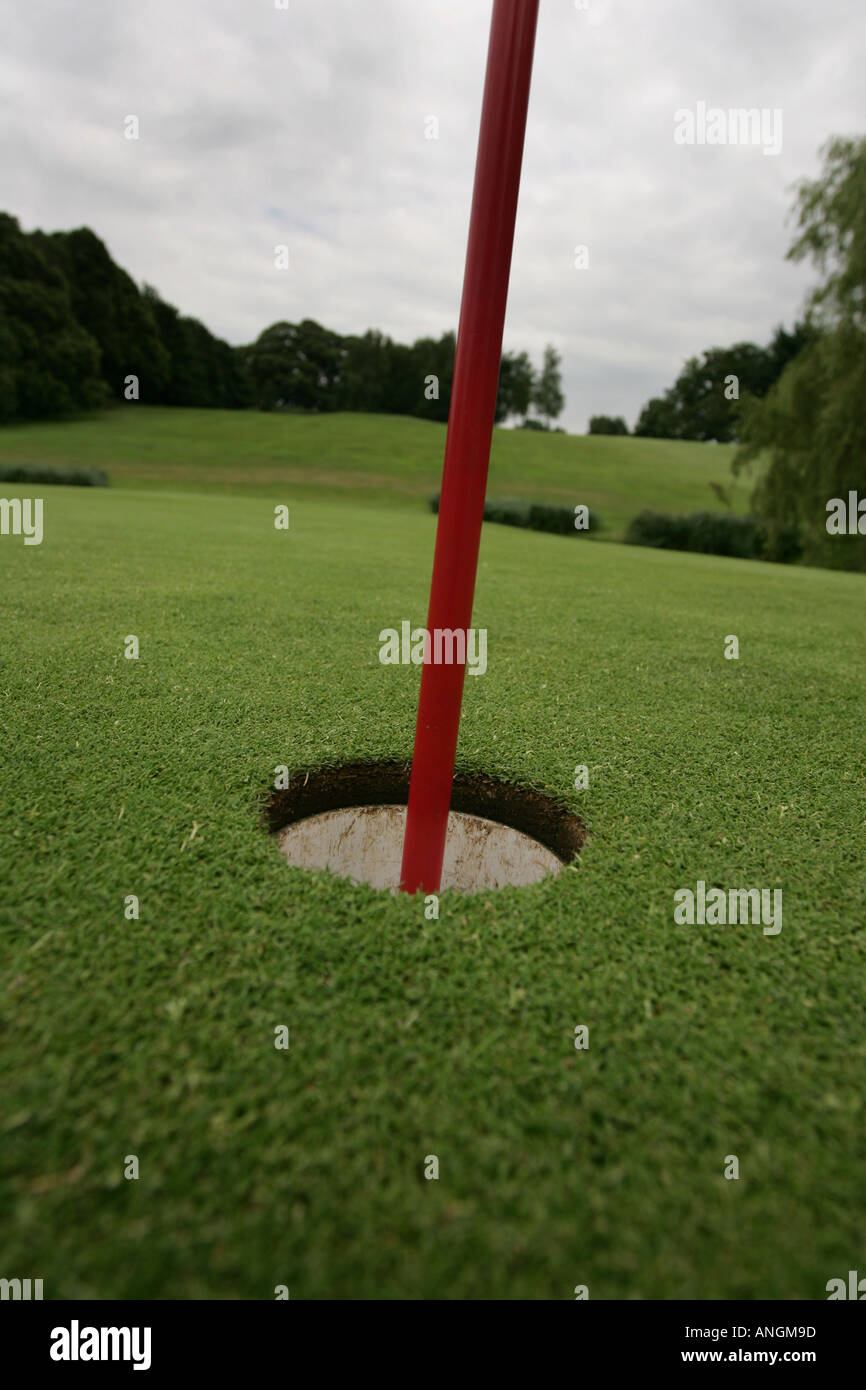 Un campo da golf per spina con polo flag interno Foto Stock