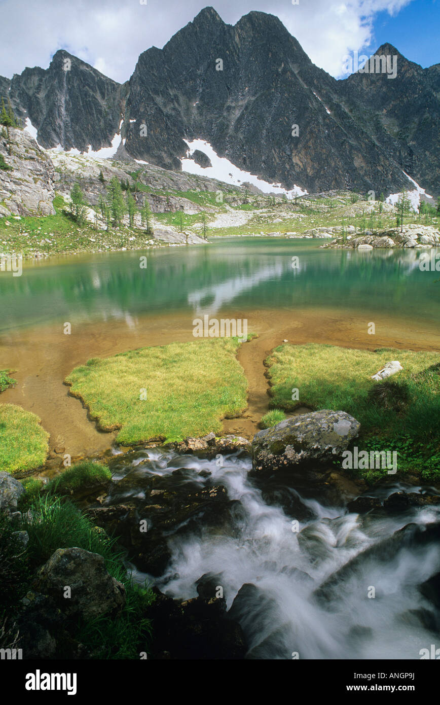 Monica Prati, Purcell montagne, British Columbia, Canada. Foto Stock