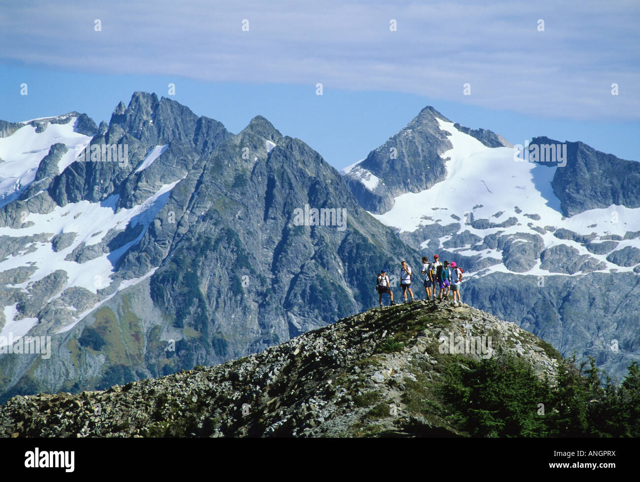 Un gruppo di escursionisti godendo lo scenario in Garibaldi Provincial Park, British Columbia, Canada. Foto Stock