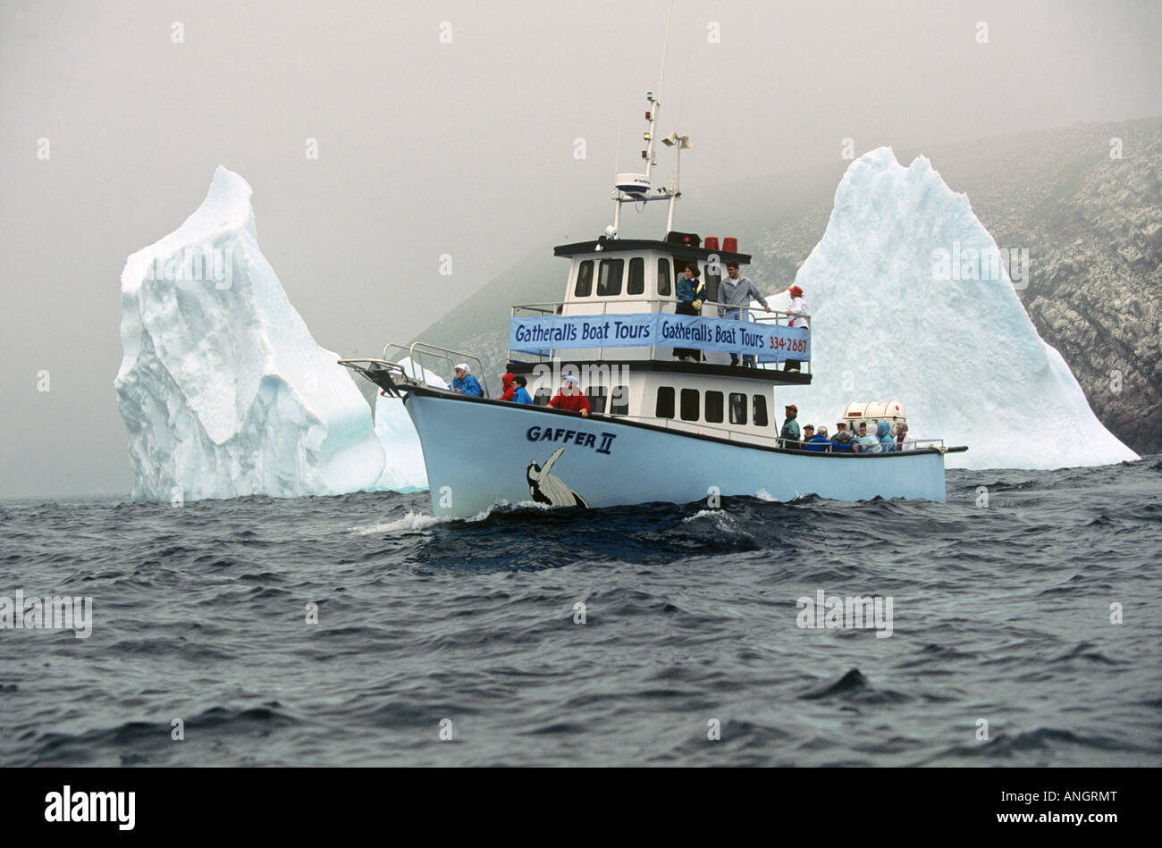 Whale watching in barca e Iceberg off Witless Bay Riserva Ecologica, Terranova, Canada. Foto Stock