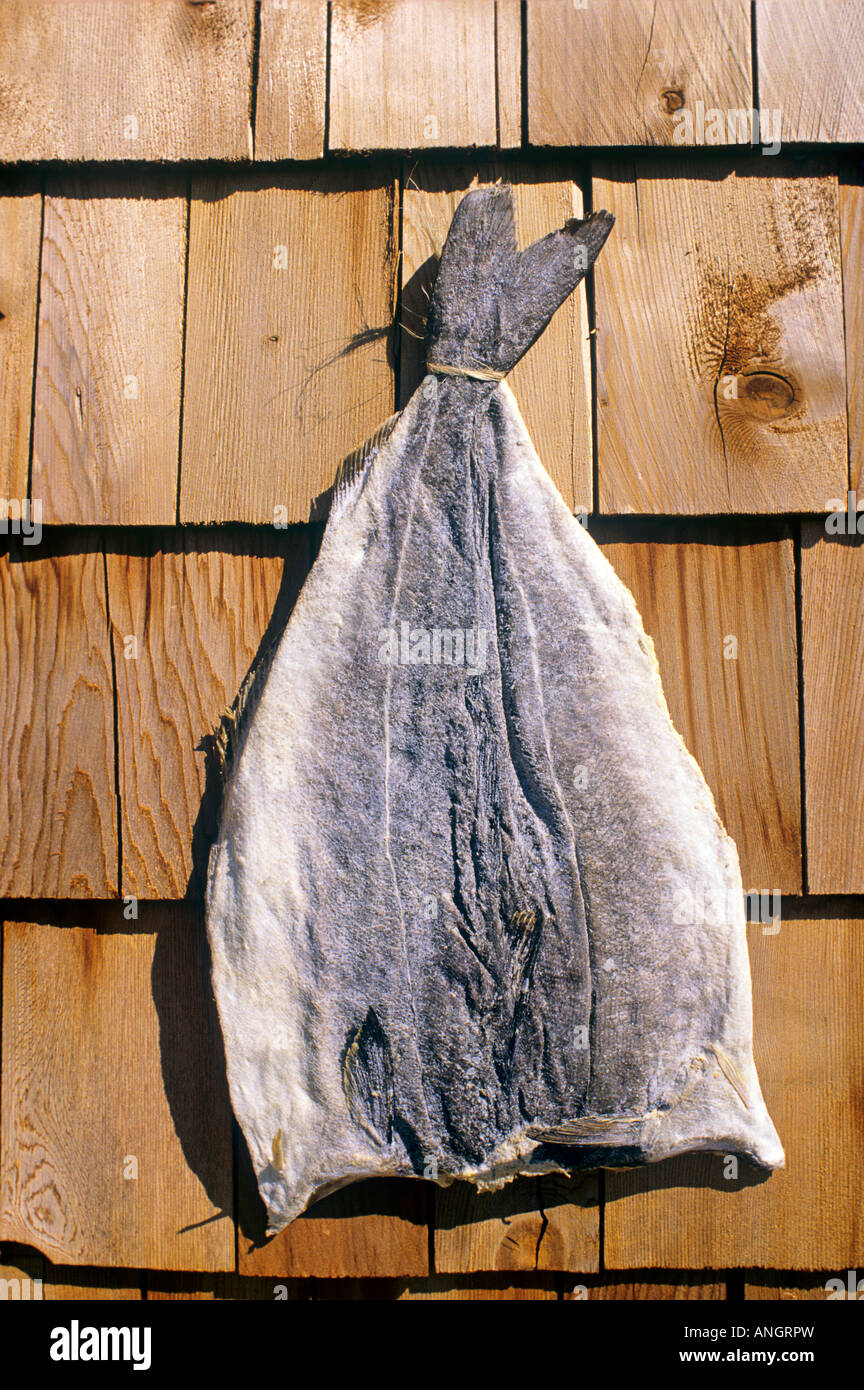 Baccalà appesi sulla pesca shed, Nord Rustico, Prince Edward Island, Canada. Foto Stock