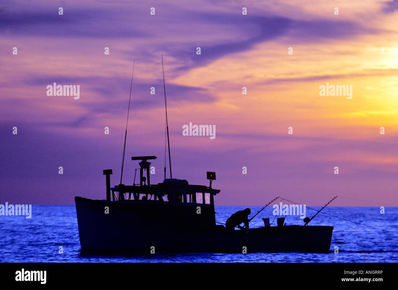 Controlli del pescatore canne da pesca a bordo della barca di tonno al tramonto, North Lake, Prince Edward Island, Canada. Foto Stock