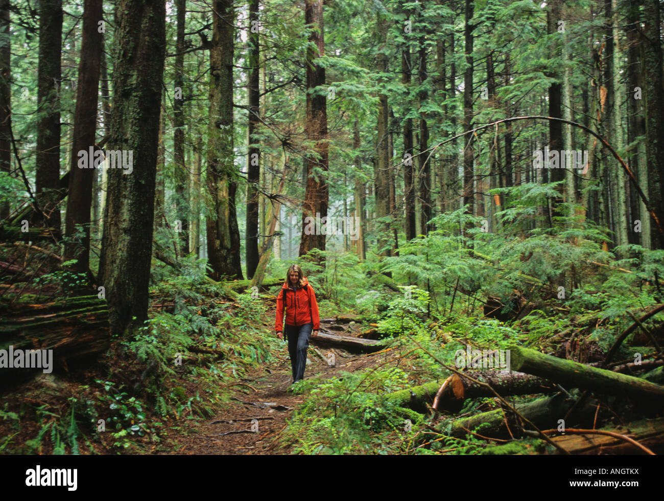 Donna escursionismo il picco di Lynn Trail in Lynn sorgenti Parco Regionale, Vancouver, British Columbia, Canada. Foto Stock