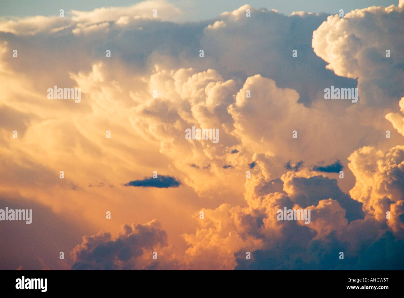 Incudine Cumulonimbus Cloud. Queste nubi si formano come il formidabile slancio verso l'alto di un cumulonimbus è deflesso verso l'esterno dalla stab Foto Stock