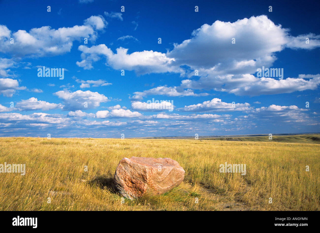 Praterie o prairie, praterie National Park, Saskatchewan, Canada. Foto Stock