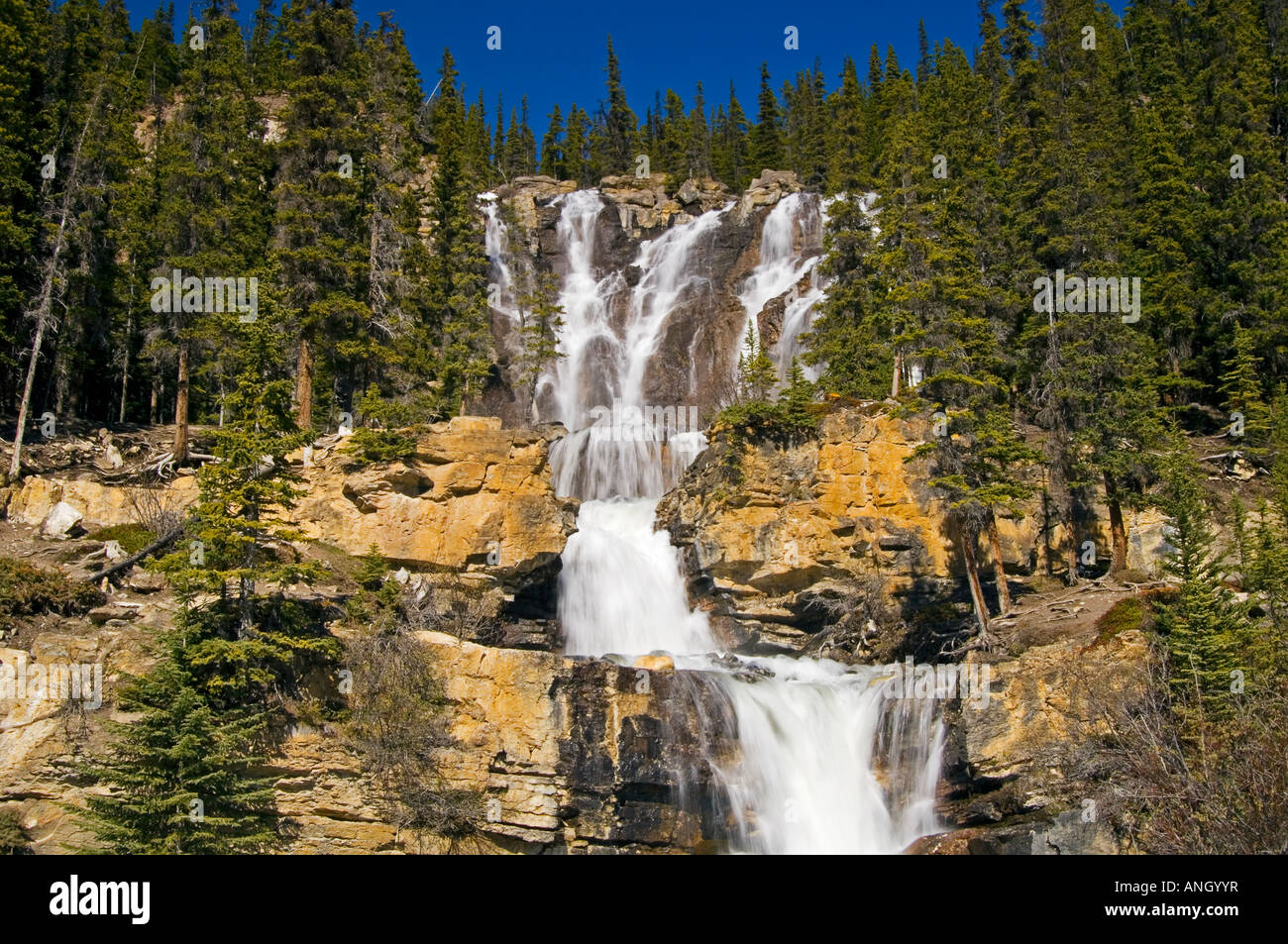 Groviglio scende, il Parco Nazionale di Jasper, Alberta, Canada. Foto Stock