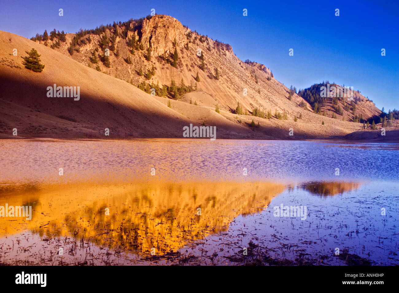 Il tasso di abbandono Creek Area Protetta, British Columbia, Canada. Foto Stock