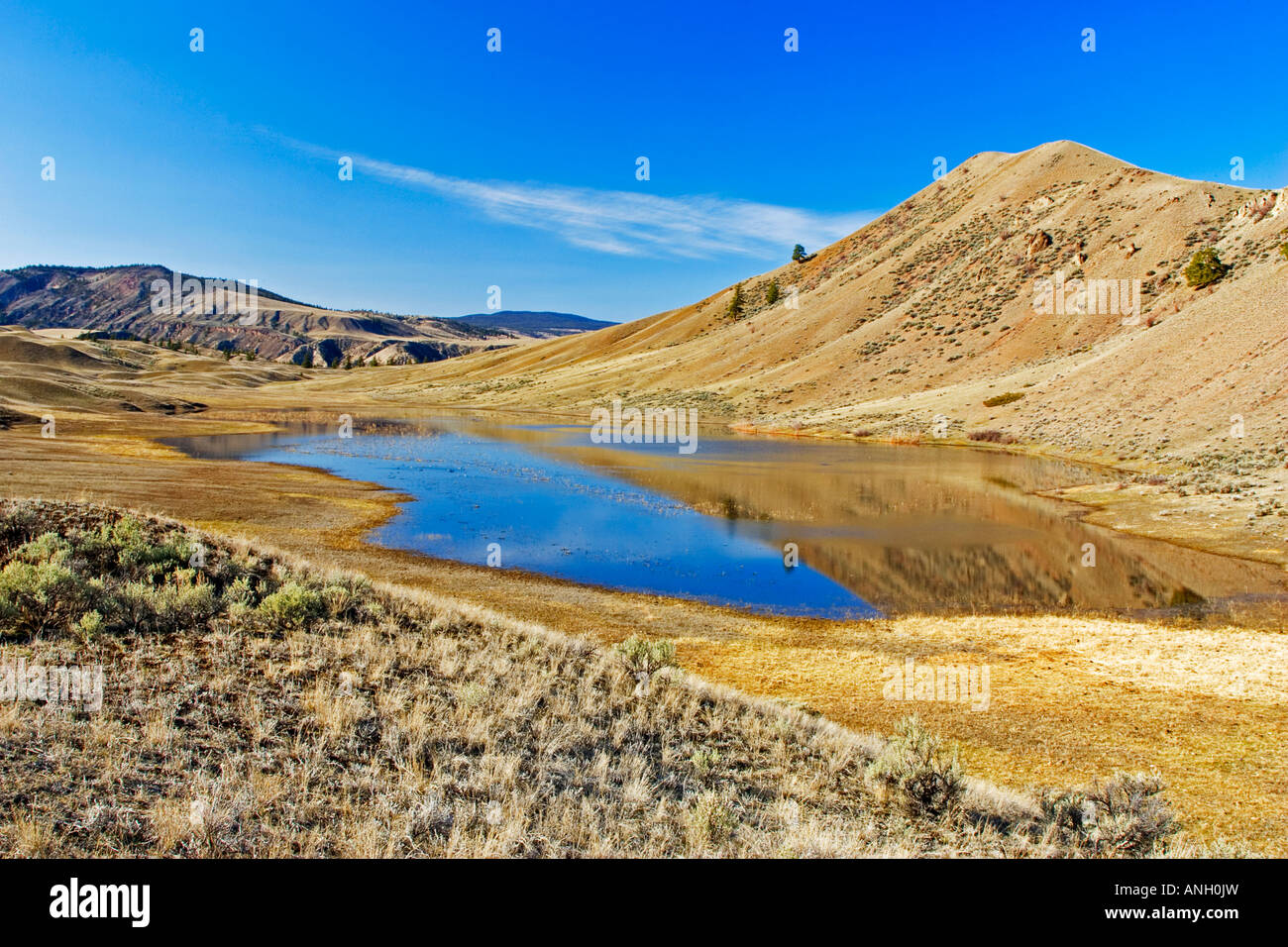 BC praterie, Churn Creek Area, British Columbia, Canada. Foto Stock