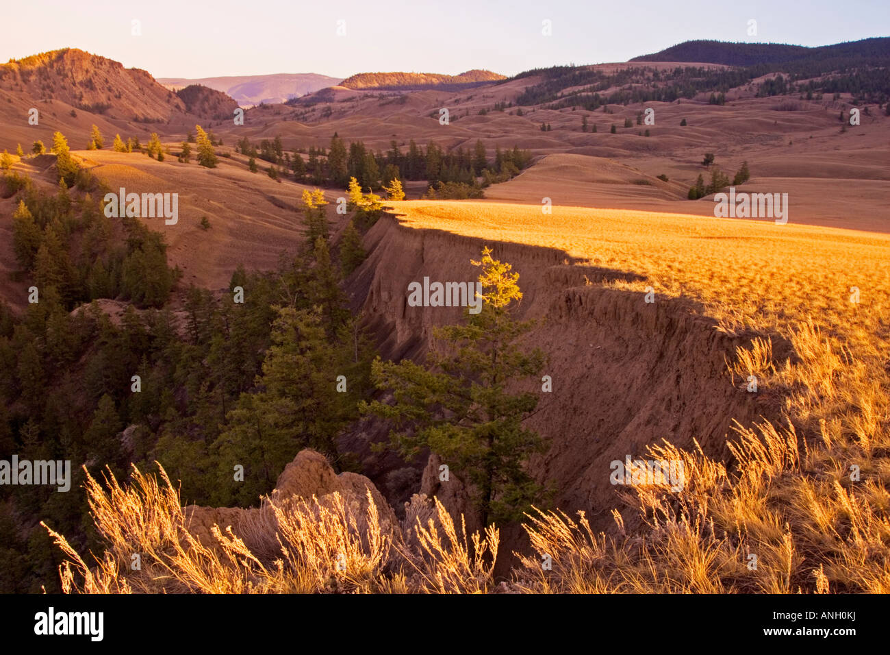 BC praterie,Churn Creek Canyon, British Columbia, Canada. Foto Stock