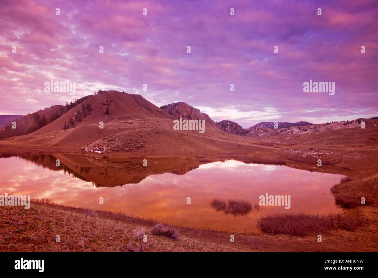 BC praterie, Churn Creek area, British Columbia, Canada. Foto Stock
