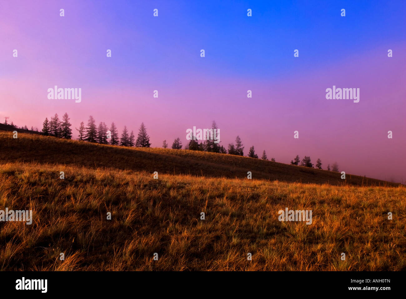 Nebbia di mattina a giunzione gamma di pecora Park, British Columbia, Canada. Foto Stock