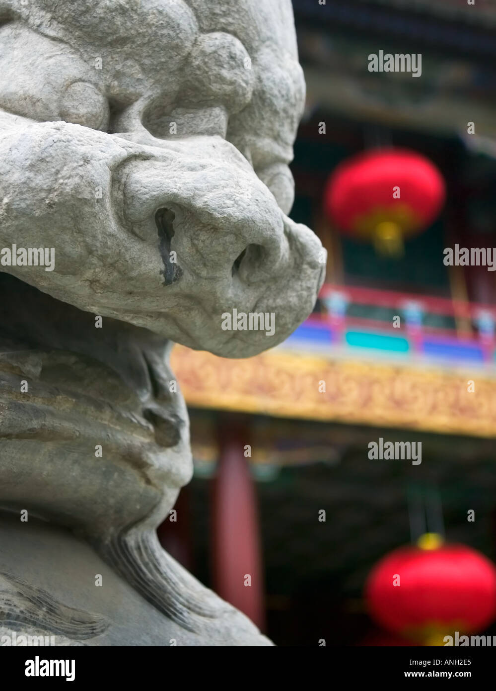 Close-up del volto di un cinese leone di pietra statua con le lanterne cinesi in background Foto Stock