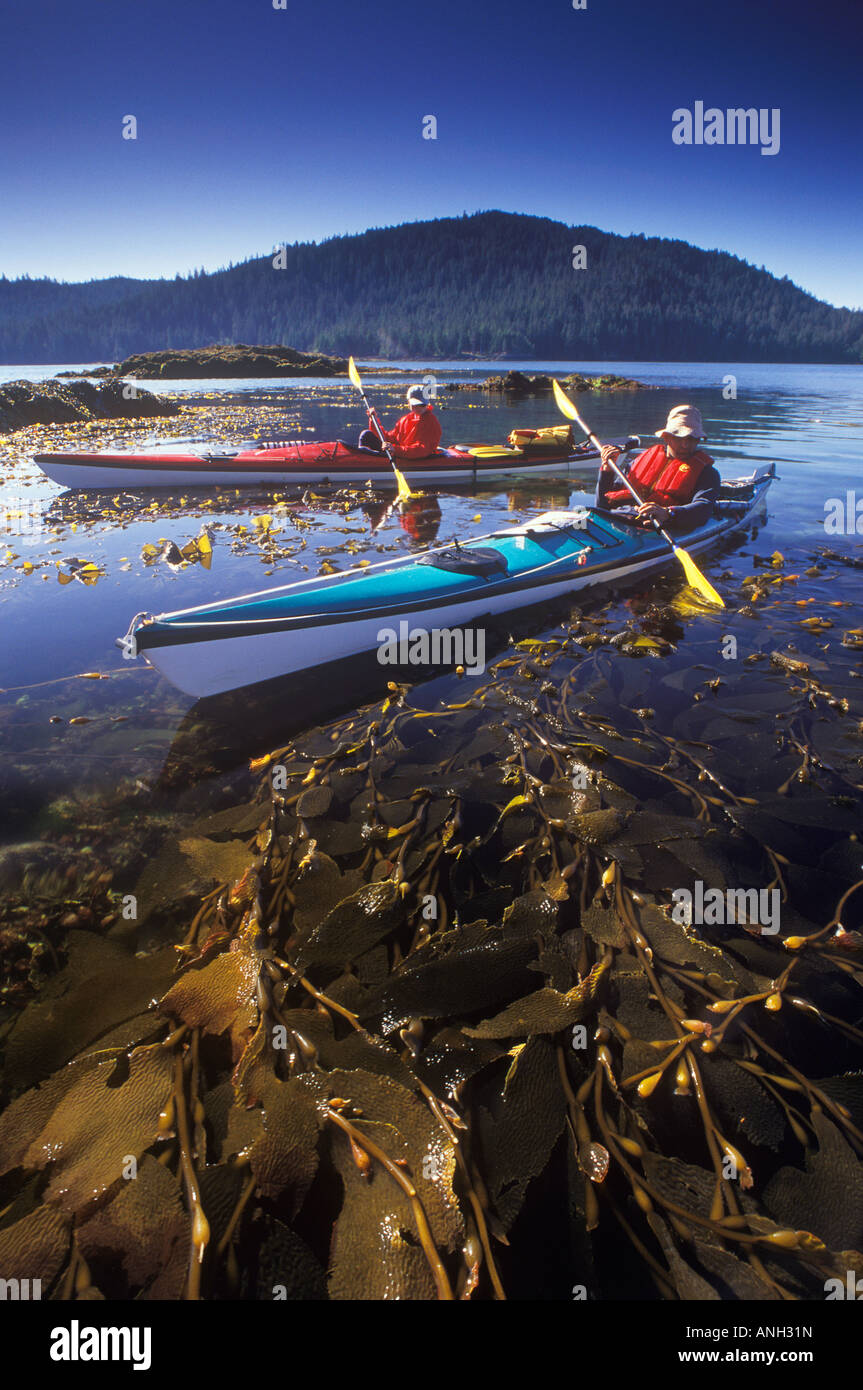 Kayak South Moresby, Gwaii Haanas National Park, British Columbia, Canada. Foto Stock