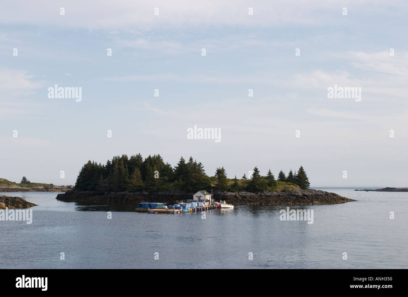 Isola nel porto di intagliatori, Vinalhaven Isola, Maine Foto Stock