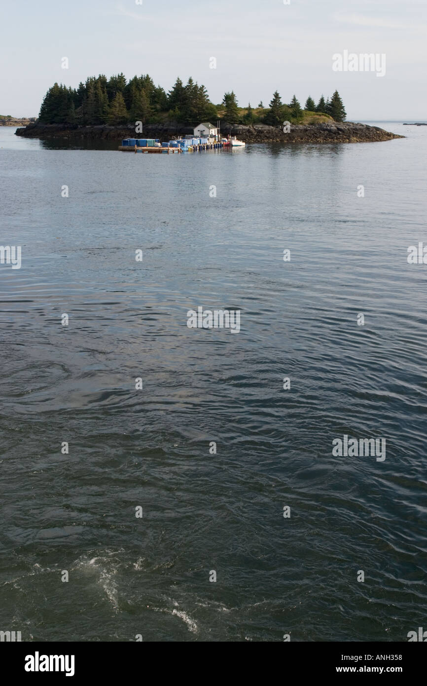 Isola nel porto di intagliatori, Vinalhaven Isola, Maine, come si vede dal traghetto nel porto Foto Stock