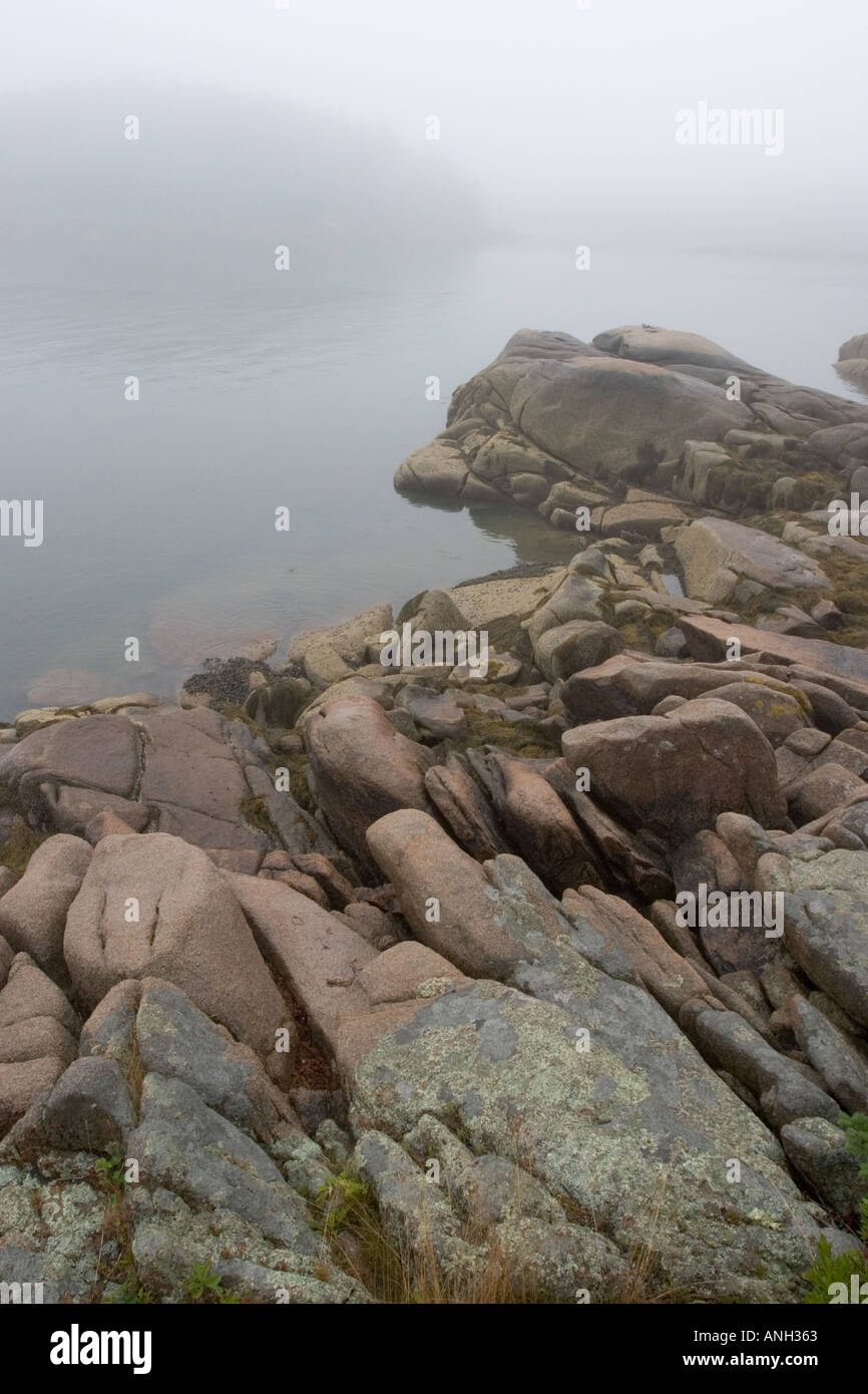 Nebbia avvolta su rocce Vinalhaven Isola, Maine. Foto Stock