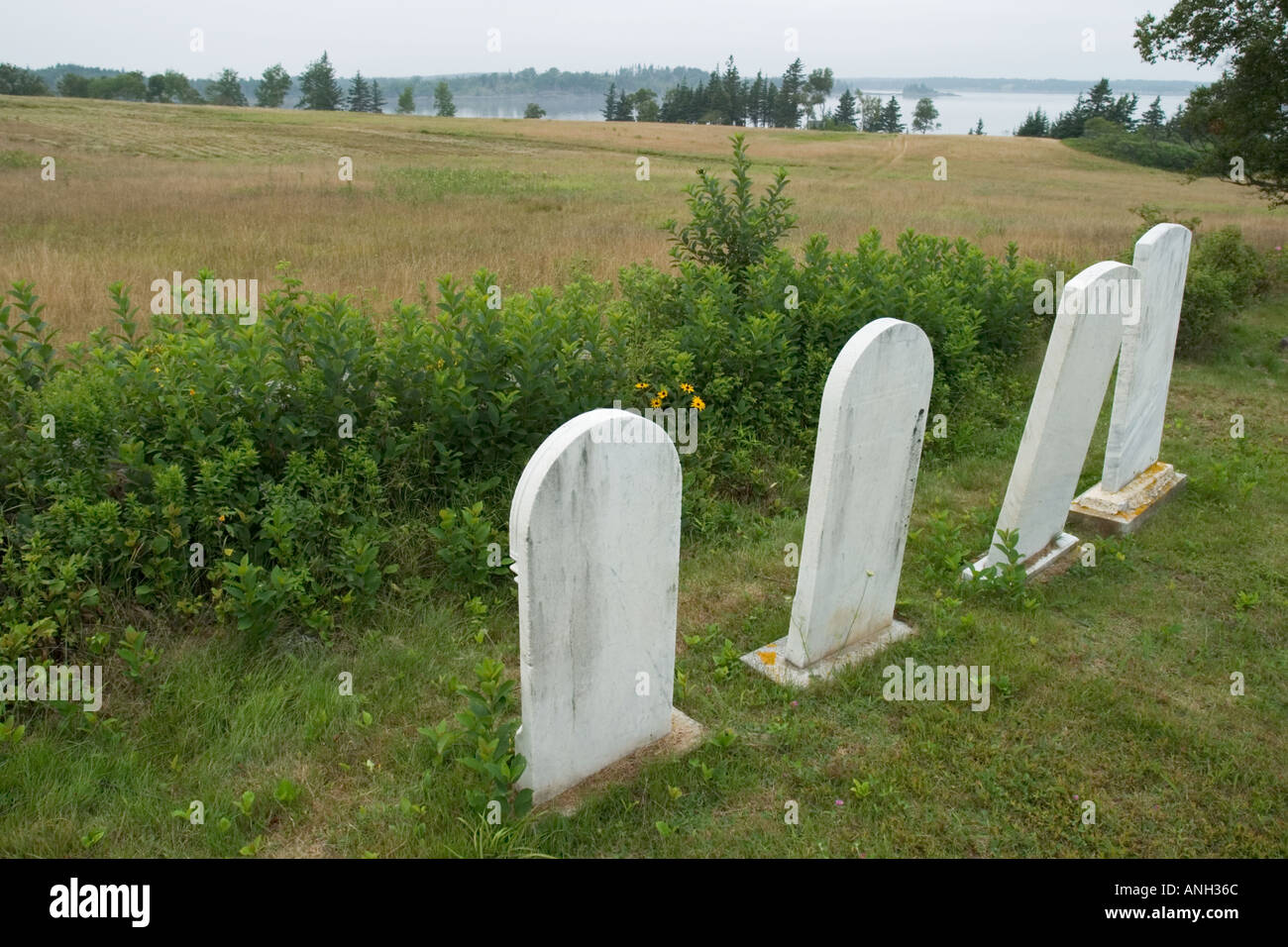 Del XVIII e XIX secolo le lapidi in un cimitero sulla isola di Vinalhaven, Maine. Foto Stock