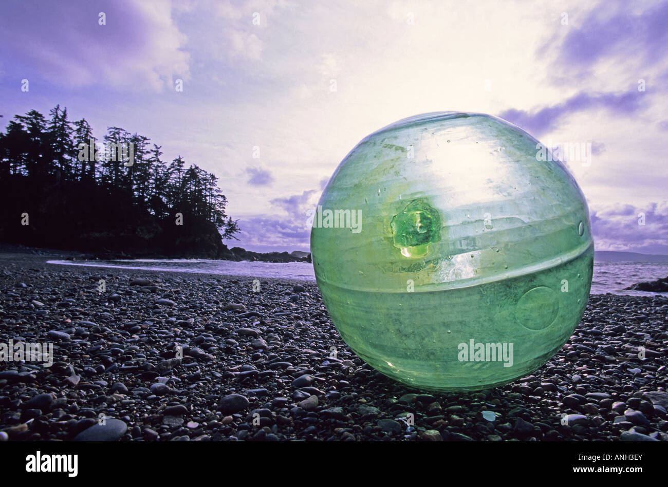 Una rara giapponese di pesca di vetro float, i più preziosi di trovare dei west coast beachcombers, si siede su un pocket beach in Cape Scott Pr Foto Stock