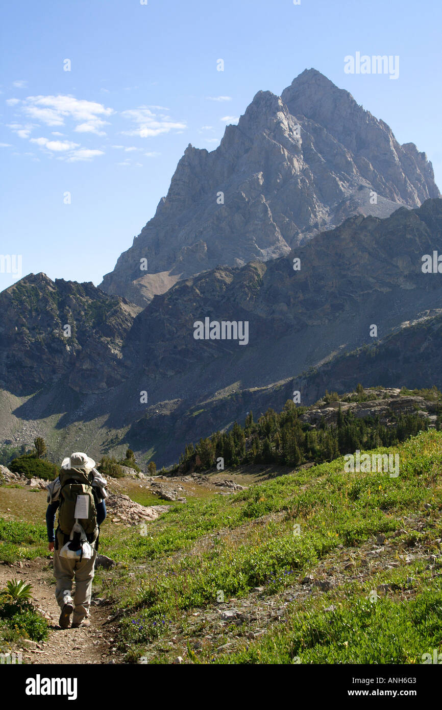 Gli escursionisti a piedi attraverso le montagne e scenario della foresta, Grand Tetons National Park, Wyoming USA Foto Stock