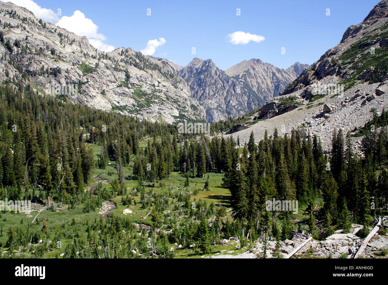 Montagne e paesaggi forestali, la cascata di Canyon, Grand Tetons National Park, Wyoming USA Foto Stock