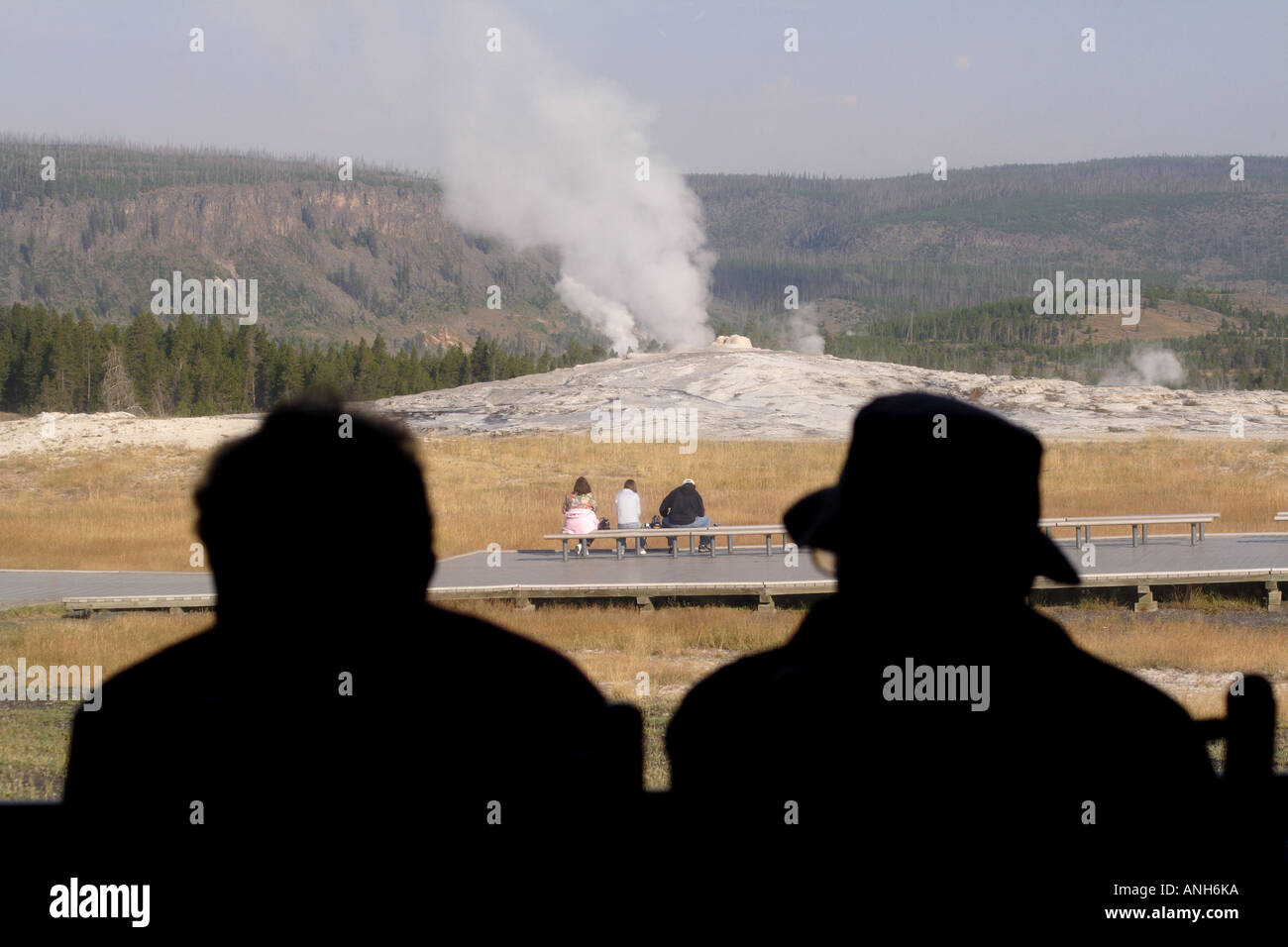 Geyser Old Faithful Errupting, il Parco Nazionale di Yellowstone, Wyoming USA Foto Stock