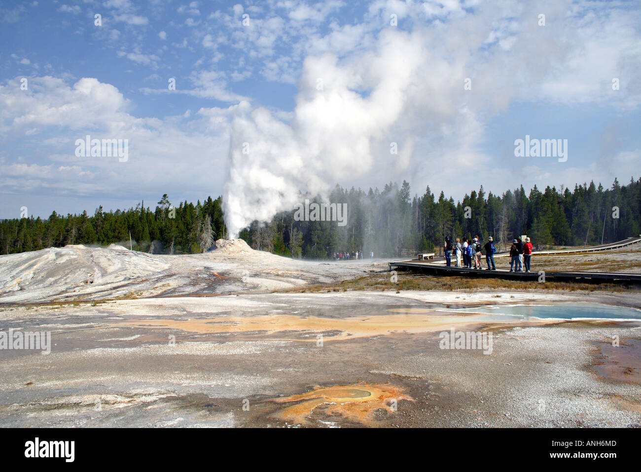 Castle Geyser, il Parco Nazionale di Yellowstone, STATI UNITI D'AMERICA Foto Stock