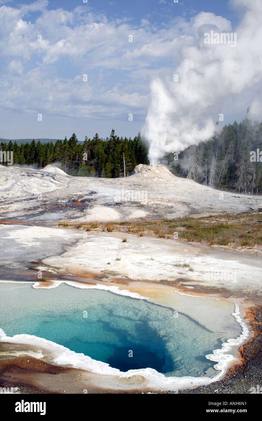 Castle Geyser con Blu Piscina, parco nazionale di Yellowstone, STATI UNITI D'AMERICA Foto Stock