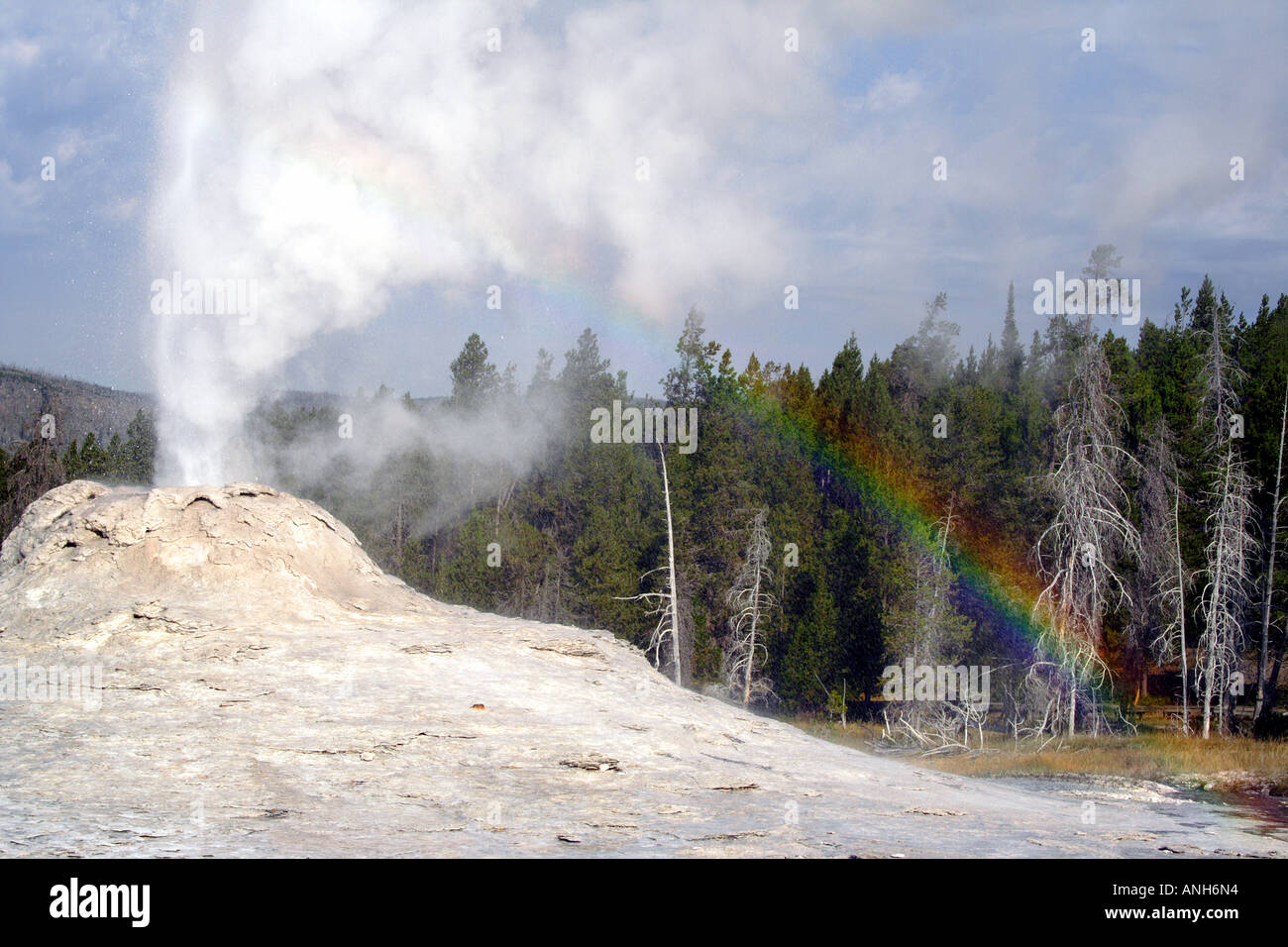 Castle Geyser con arcobaleno, il Parco Nazionale di Yellowstone, STATI UNITI D'AMERICA Foto Stock