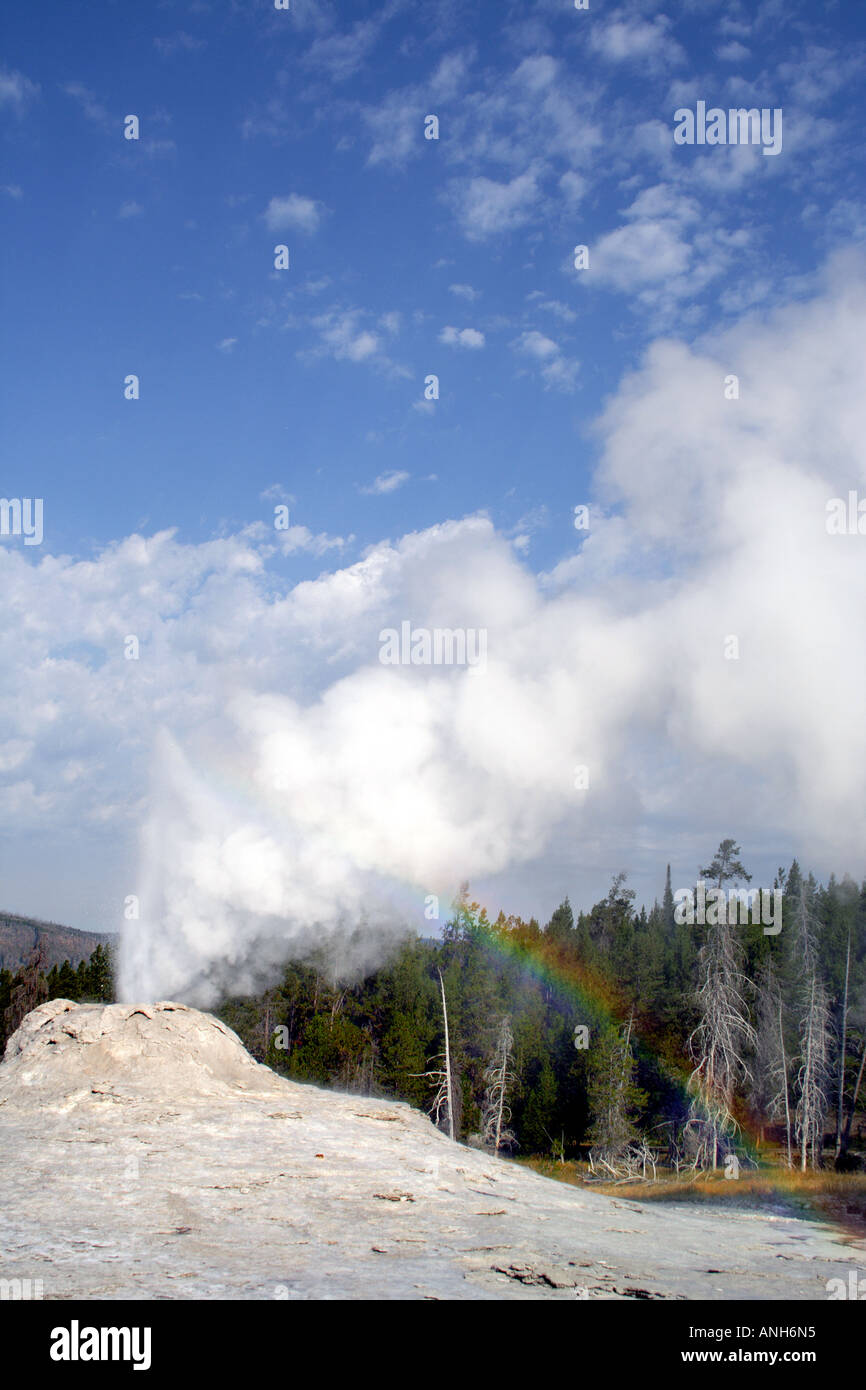 Castle Geyser con arcobaleno, il Parco Nazionale di Yellowstone, STATI UNITI D'AMERICA Foto Stock